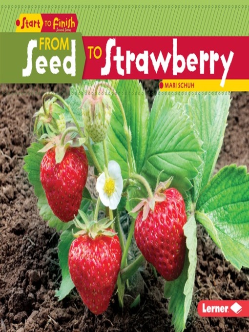 Title details for From Seed to Strawberry by Mari Schuh - Available